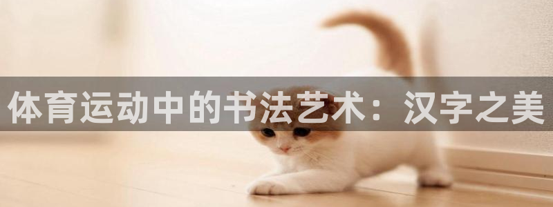 3377体育官网