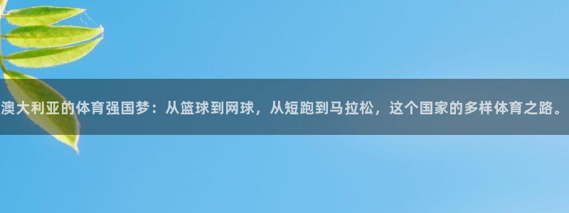 3377体育