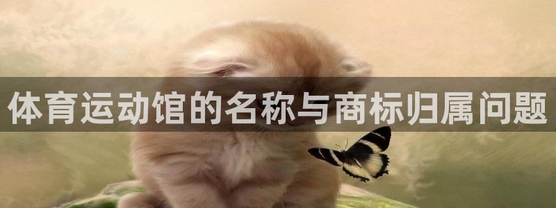 3377体育官网下载